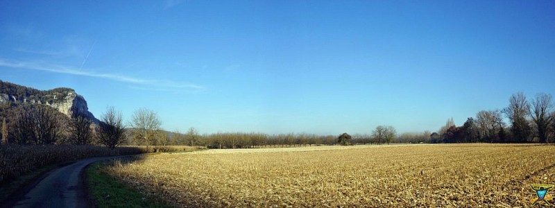 Chemin menant à la Curade dans la plaine de Saint-Sozy