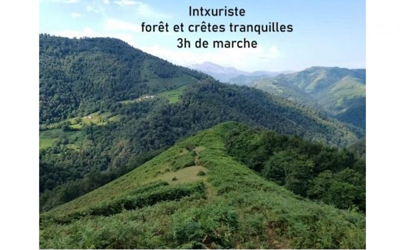 Intxuriste