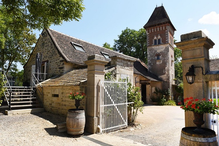 Gîte Le Petit Renard 2025-21