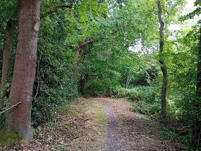 La vallée du ruisseau des Prés Josse