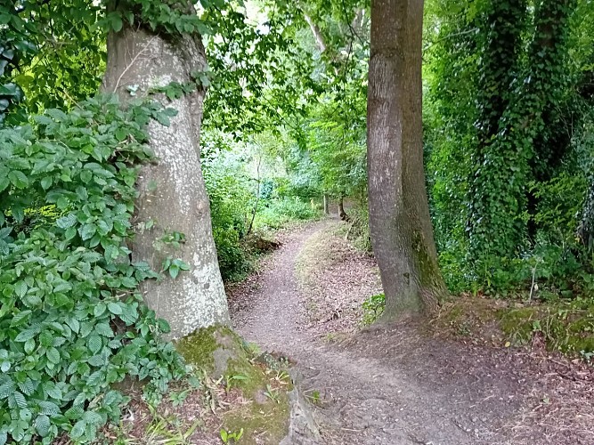 La vallée du ruisseau des Prés Josse