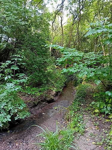 La vallée du ruisseau des Prés Josse