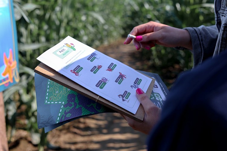 Labyrinthe géant à Tarcienne - Le Grain Egaré