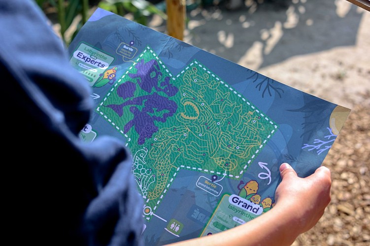 Labyrinthe géant à Tarcienne - Le Grain Egaré