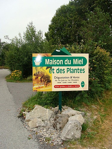 Visite de la maison du miel et des plantes