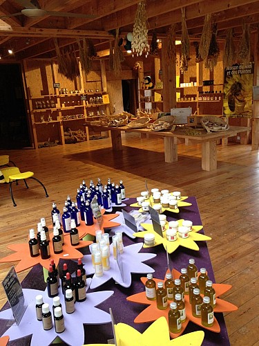 Visite de la maison du miel et des plantes