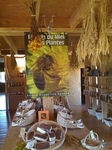 Visite de la maison du miel et des plantes