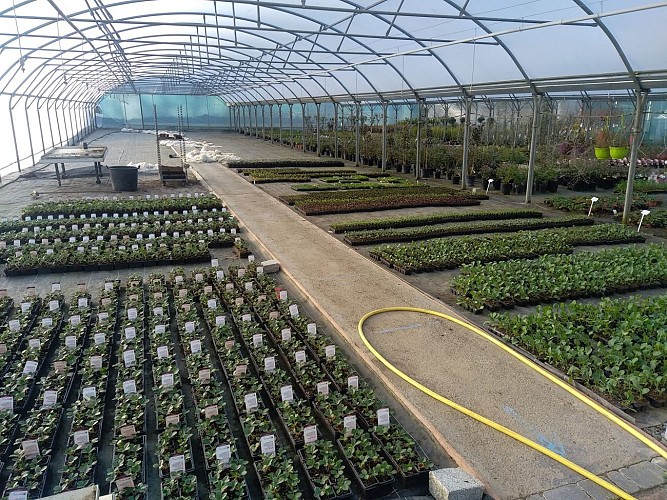 Le Jardin d'Essences