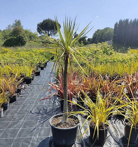 Le Jardin d'Essences