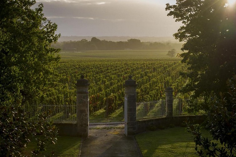 Château Malescasse2