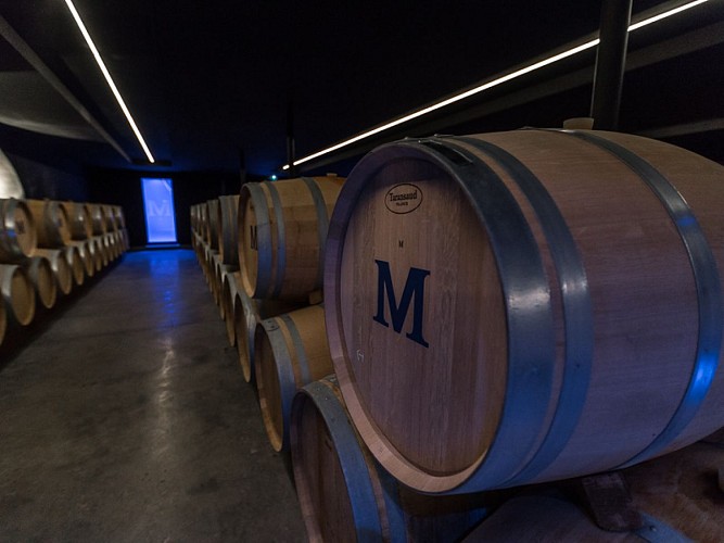 Château-Malescasse6