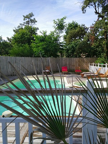 Au jardin des Libellules4