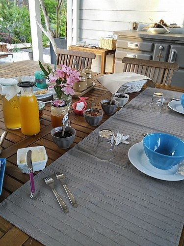 Au jardin des Libellules6