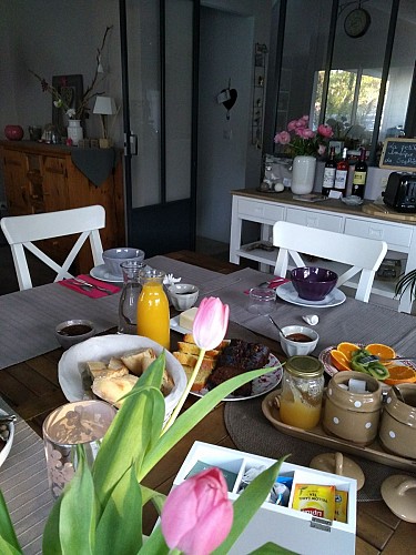 Au jardin des Libellules12