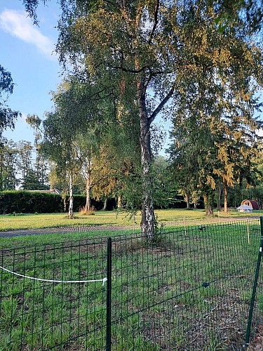 Resized_20250725_203400