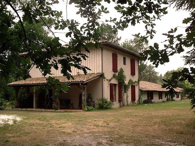 foret-gite-location-vacances