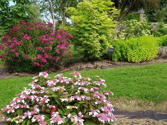 beuzeville-la-bastille-jardin-du-bord-de-douve-2