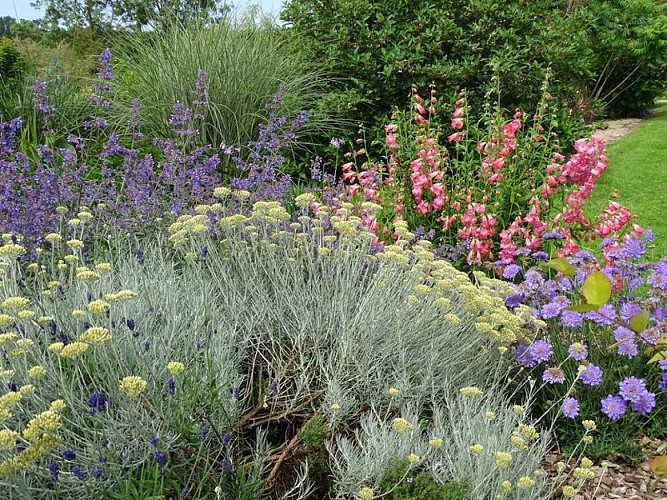 beuzeville-la-bastille-jardin-du-bord-de-douve-1