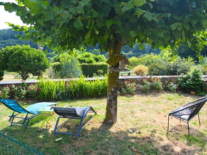 Gîte des Libellules - Bussière-Galant 