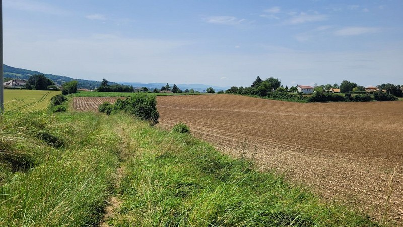 Point de vue