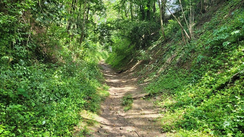Chemin