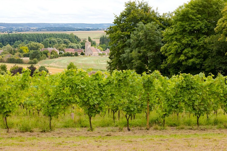 Les Arpents du Soleil - Falaise Tourisme  © Sabina Lorkin @anibasphotography