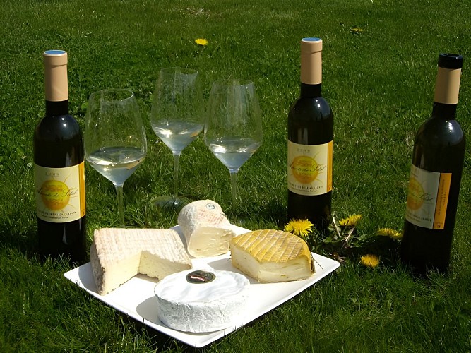 Les Arpents du Soleil, domaine viticole à Grisy