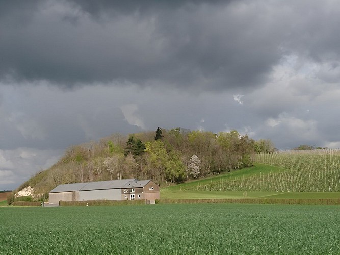 Les Arpents du Soleil