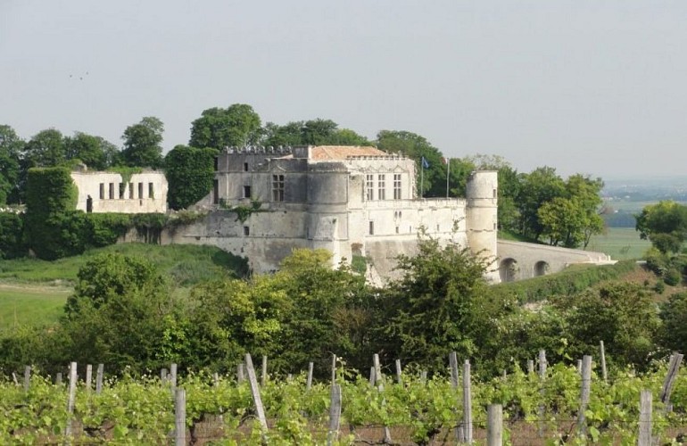 Bouteville Castle