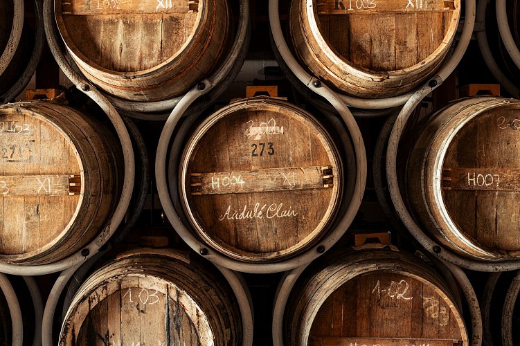 La Compagnie de Bouteville - Viaje de descubrimiento