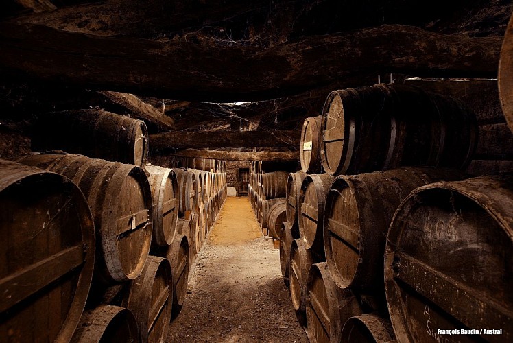 COGNAC PAUL GIRAUD AU FIL DE L'EAU EN GRANDE CHAMPAGNE (Expérience Inédite labelisée Explore 2025)