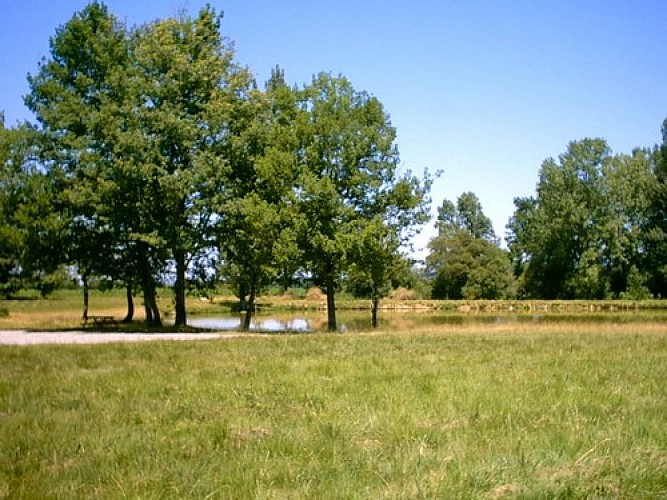 image du object