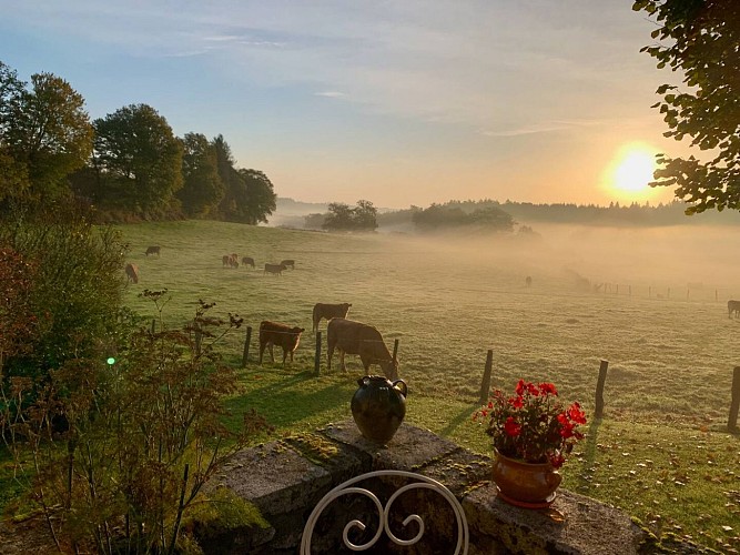 e6f27476-e9c7-4c8b-8e02-4dc9b777d484