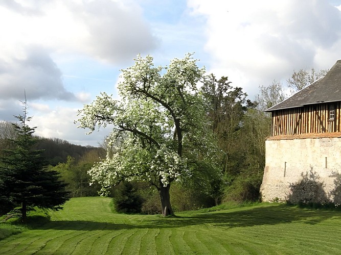 La Ferme du Chateau - gite - Philippe Gurrey - Fauguernon (jardin)