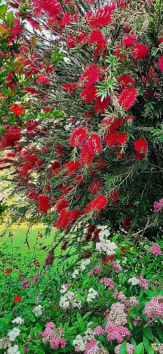 Gîte Le Fief de la Fontaine