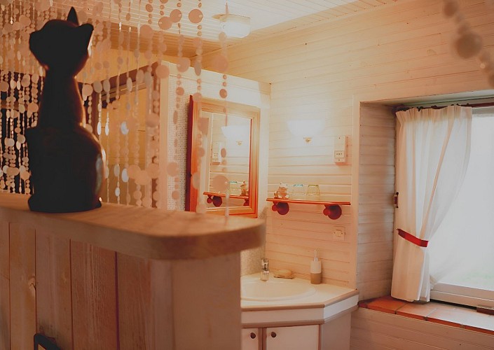 Salle de bain vue chambre