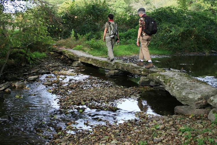Pont planche de St Léger Bridereix