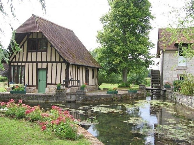 Gîte L'ânerie du moulin