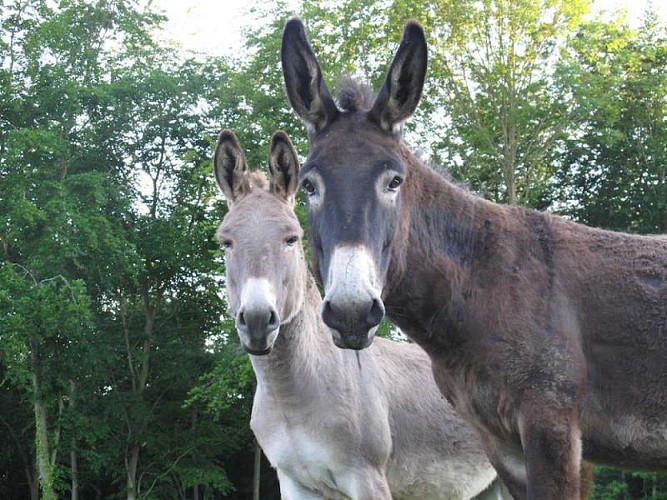 Le relais du vert bois