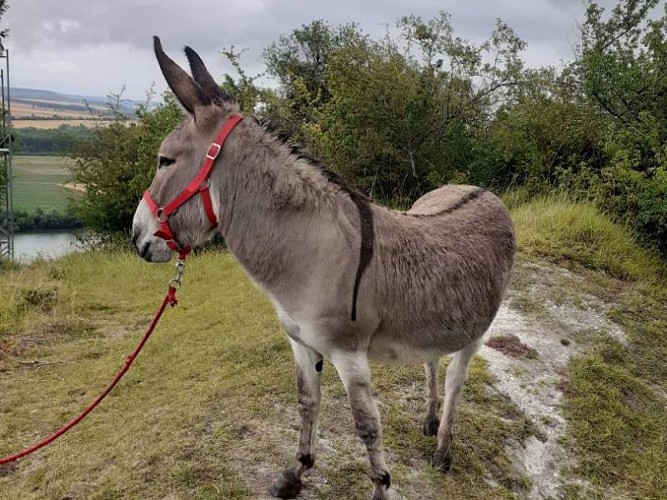 Le gîte des Marettes