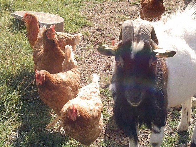 Chambres Dubuisson de Bray