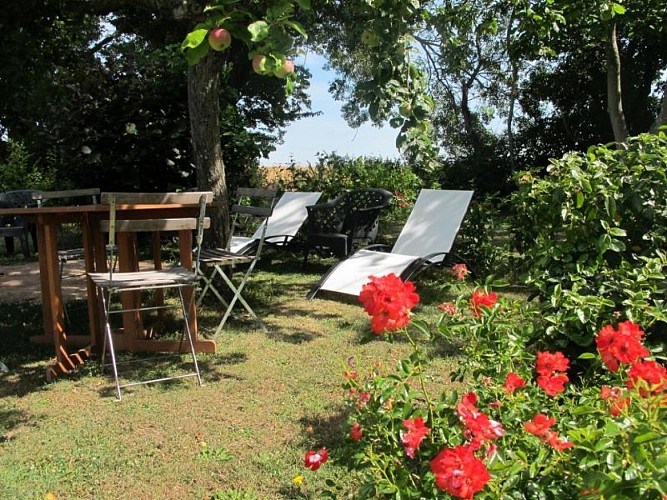 Gîte LE GITE DU PETIT COQ