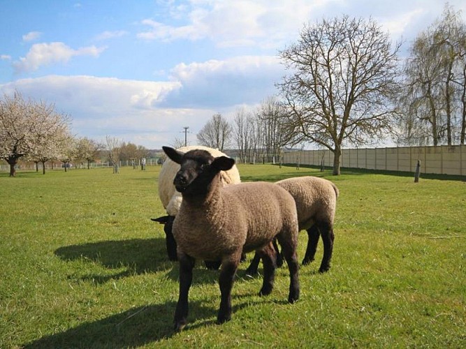 GITE MA NORMANDIE 27