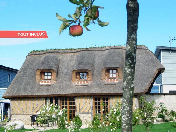 Gîte LA COUR AUX FLEURS