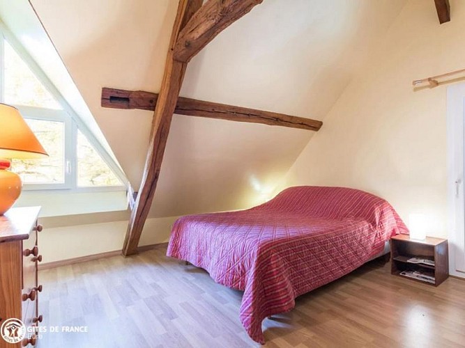 Gîte LE GITE DU GRAND CHENE