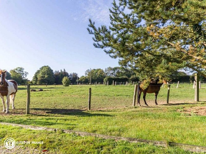 Le relais du Chaussé