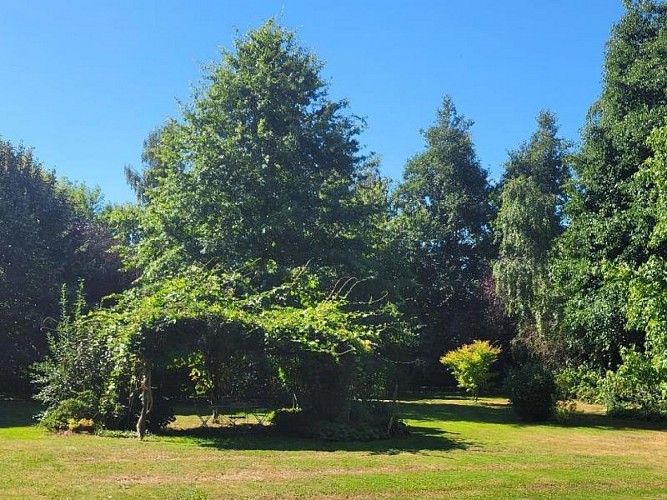 Les gîtes de la Charretterie - Papillon