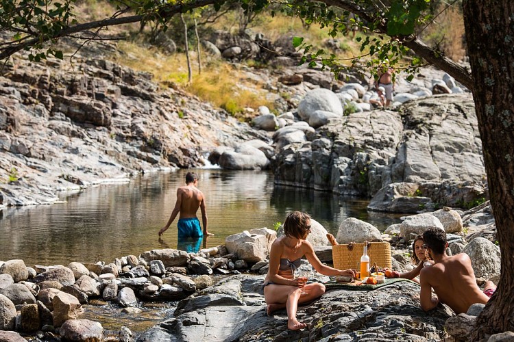 Vallée de la Thines