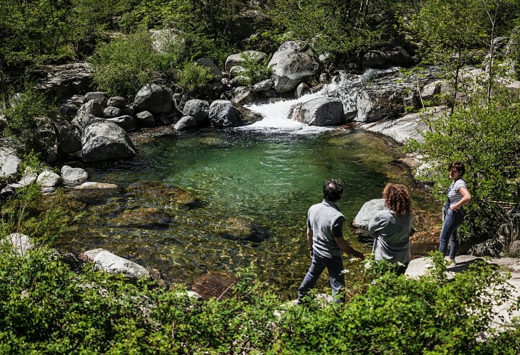 Vallée de la Thines