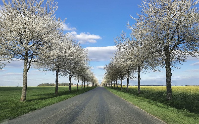 Champeaux